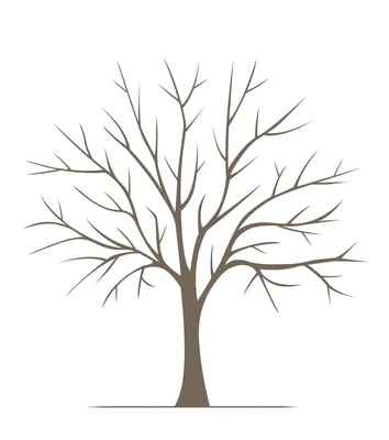 Идеи для срисовки маленькое дерево без листьев (88 фото) » идеи рисунков для  срисовки и картинки в стиле арт - АРТ.КАРТИНКОФ.КЛАБ