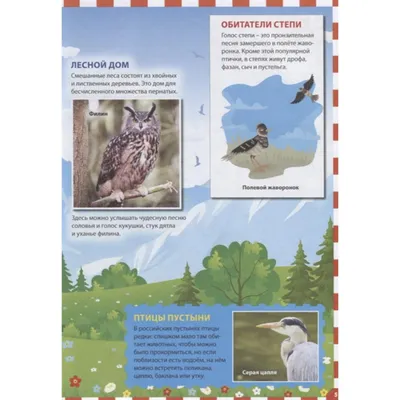 Домик для птиц Скворечник (зеленый) - купить в Пятигорске оптом и в розницу  с доставкой