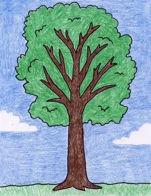 Деревья для детей — изучаем виды деревьев с детьми дошкольного возраста