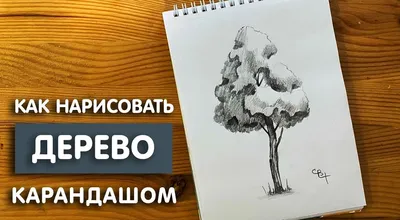 Как Нарисовать Дерево (Поэтапно + Карандашом) Уроки • ИзоКурс, Мск