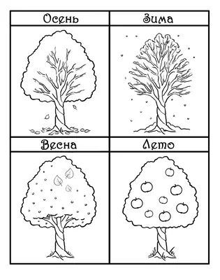 Дерево в разное время года -  | Рабочие тетради для детского  сада, Раскраски, Поделки