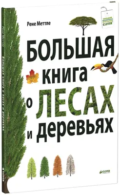 Рисуем Поэтапно Вместе С Детьми Деревья |  - Дети и Родители |  Дзен