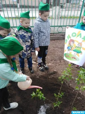 Фотоотчет «День Эколят в подготовительной группе. Сажаем деревья на участке детского  сада» (2 фото). Воспитателям детских садов, школьным учителям и педагогам -  Маам.ру