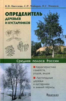 Деревья и травы. 60 видов трав, деревьев и кустарников, которые должен  знать каждый, П. М. Волцит – скачать pdf на ЛитРес