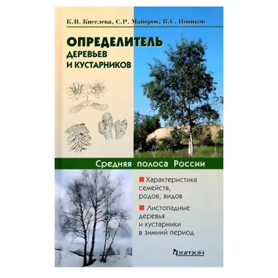 Иллюстрация 14 из 17 для Плакат "Деревья России" (2883) | Лабиринт - книги.  Источник: Бунова Елена