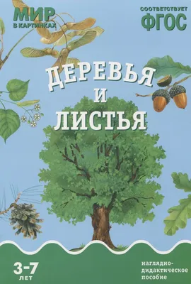 В Саратовской области «шагающие дубы» внесли в реестр удивительных деревьев  России |  | Балаково - БезФормата