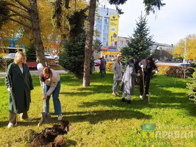 4 шт. фигурки деревьев пластиковые модели деревьев поезд макет сад пейзаж  белый и розовый цветок деревья Pink миниатюрный диорамы | AliExpress