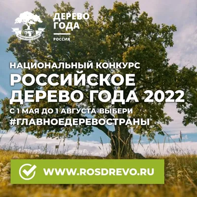 Ленинградская область – участник конкурса Российское дерево года 2021! —  ГКУ ЛО ОЭП