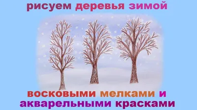 Как и почему деревья зимой выживают? Причины, фото и видео -  Научно-популярный журнал: «Как и Почему»