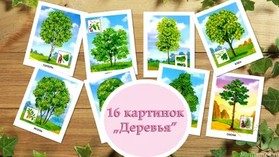 Низкорослые деревья для дачи. 10 самых популярных сортов для ландшафтного  дизайна | Питомник Растений №1 Экоплант | Дзен