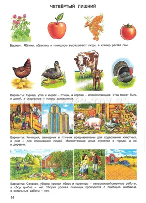 Раскраска «Деревня» для детей | 100 картинок