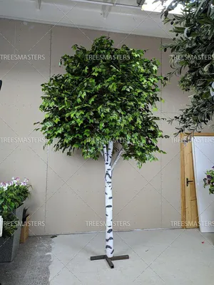 Дерево искусственное "Берёза" 180 см – купить в Нижнем Новгороде по низкой  цене | Леруа Мерлен