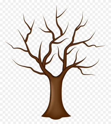 Картинка Дерево без листьев для детей | 