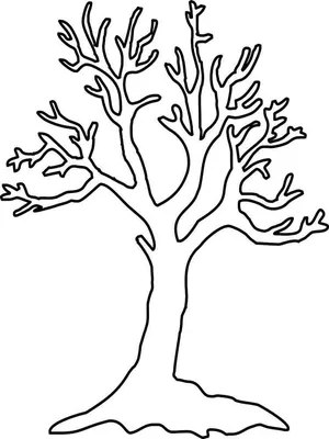 Раскраски Дерево без листьев распечатать бесплатно в формате А4 (19  картинок) | 