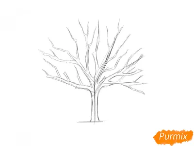 Дерево без листьев ветер 25 фото » лучшие бесплатные шаблоны для оформления
