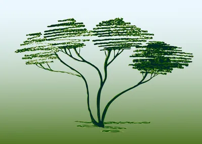 дерево в графике с узорами Силуэты декоративных деревьев в векторе -  Silhouette of trees скачать бесплатно #yandeximages | Abstract tree,  Abstract, Cricut stencils