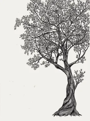 Графика и рисунок - Цветущее дерево цветёт, весна