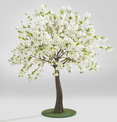 Яблоня дерево-сад (Гибрид нескольких сортов Яблони) - купить в Дмитрове,  Москве и Московской области по низкой цене