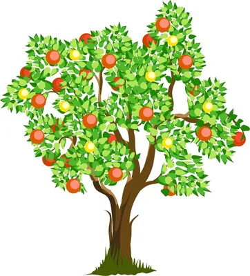 Яблоня лесная — Википедия