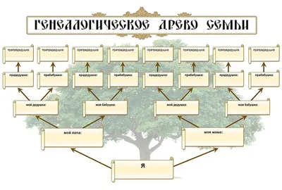 Как сделать генеалогическое древо: инструкции и шаблоны