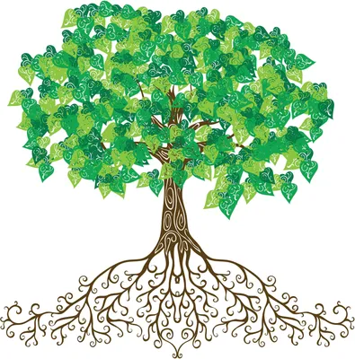 Большое зеленое дерево с корнями под землей на белом | Бесплатно векторы |  Green trees, Tree with roots drawing, Roots drawing