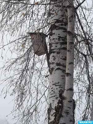 Конструктор NIC Дерево с птицами темное (NIC523098) купить | ELMIR - цена,  отзывы, характеристики