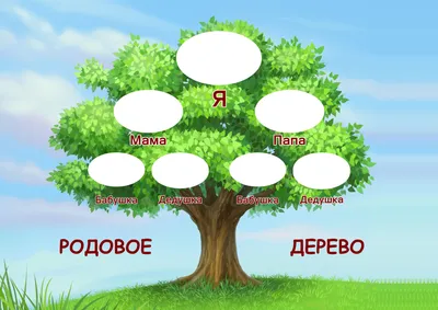 Семейное древо шаблон для школьника | Генеалогическое древо, Семейное дерево  шаблоны, Шаблоны