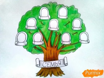 идеи семейного дерева | Семейное дерево проекты, Бесплатный шаблон, Семейное  дерево