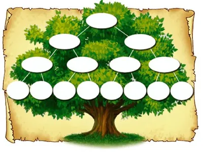 Лучшие идеи (19) доски «Семейное дерево шаблоны» | семейное дерево шаблоны, семейное  дерево, дерево