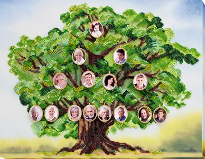 Семейное дерево включает бесплатные шаблоны и картинки, оформление древа  семьи в фоторамку в фотошопе и т.д.