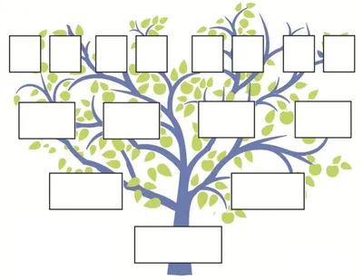 Как составить генеалогическое древо семьи — шаблоны и советы