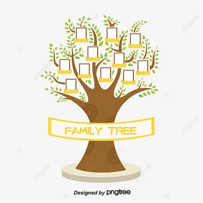 Family Tree Drawing png download - 2730*2888 - Free Transparent Family Tree  png Download. - CleanPNG / KissPNG