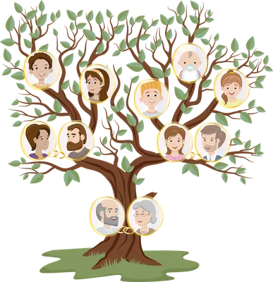 Генеалогическое дерево Изображения – скачать бесплатно на Freepik