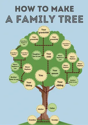 Семейное дерево (77 фото) »