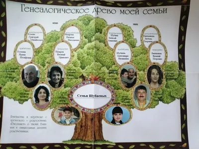 Дерево семьи растущее иллюстрация вектора. иллюстрации насчитывающей  цветасто - 65988303