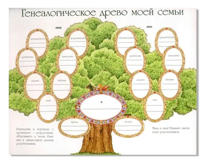 Консультация для родителей «Генеалогическое древо» (1 фото). Воспитателям  детских садов, школьным учителям и педагогам - Маам.ру