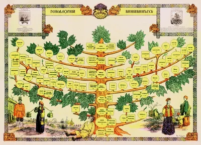 Генеалогическое древо семьи с крестьянскими корнями из Центральной России