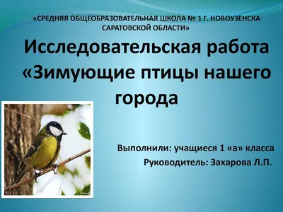 Заняття з ознайомлення з природою за темою "Пернаті друзі взимку"