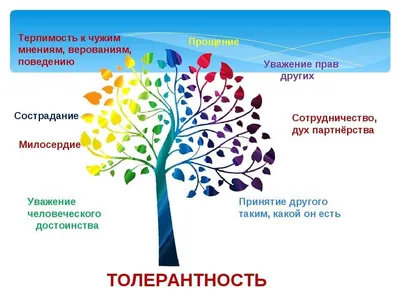 16 ноября отмечается Международный день толерантности - Лента новостей  Мелитополя