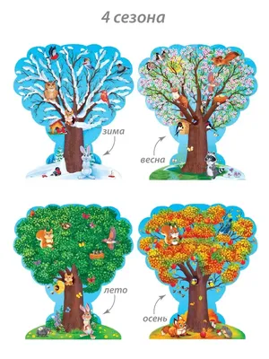 времена года для детей на английском языке2 | Seasons preschool, Puzzles  for kids, Printables kids