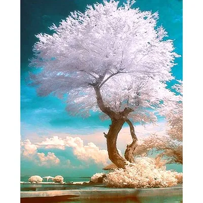 Дерево жизни как талисман - 