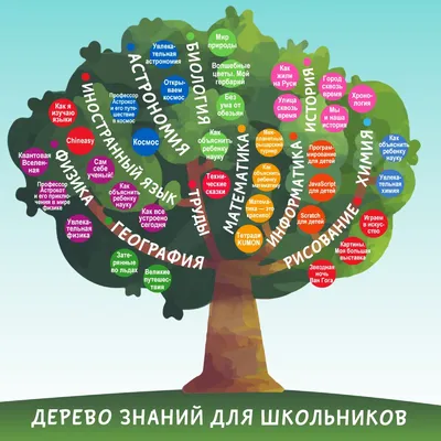 Аксессуары делового человека: Ежедневник учителя А5+ "Дерево знаний" -  купить в интернет-магазине «Москва» с доставкой - 828169