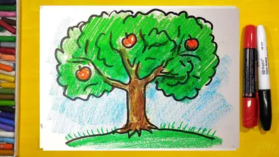 Как выглядит Горчичное дерево, про которое говорил Господь Иисус Христос. |  Паладин | Дзен