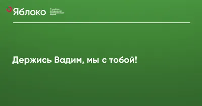 Держись Вадим, мы с тобой! | Партия ЯБЛОКО