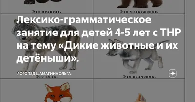 Презентация на тему: " Дикие животные и их детёныши"