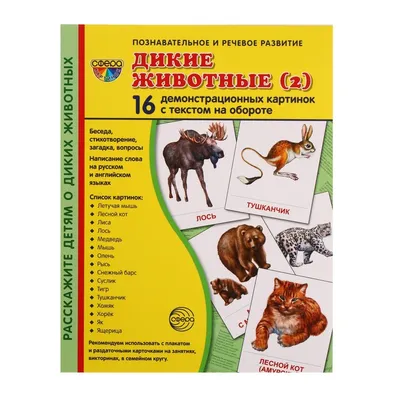 30 фото прелестнейших детёнышей животных в дикой природе