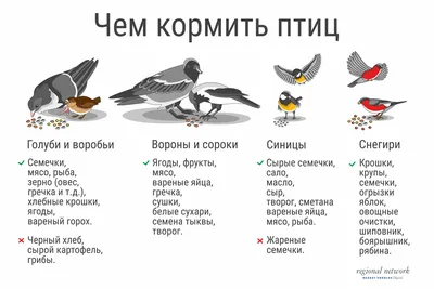 Кормушка для птиц - Новый год - Раскраски антистресс