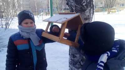 Чем можно и нельзя кормить птиц зимой - Лайфхакер