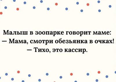 Анекдоты про Вовочку: 50+ самых смешных и любимых шуток