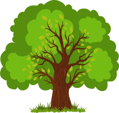 Educational video for children LEARN to DRAW a TREE. GRADUALLY draw the  tree and decorate. - YouTube